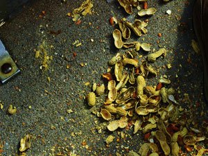 Littering: Peanut Shells on a Train Floor